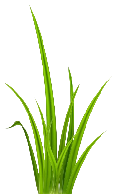 Group_79-removebg-preview