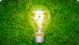 eco-concept-light-bulb-grow-grass